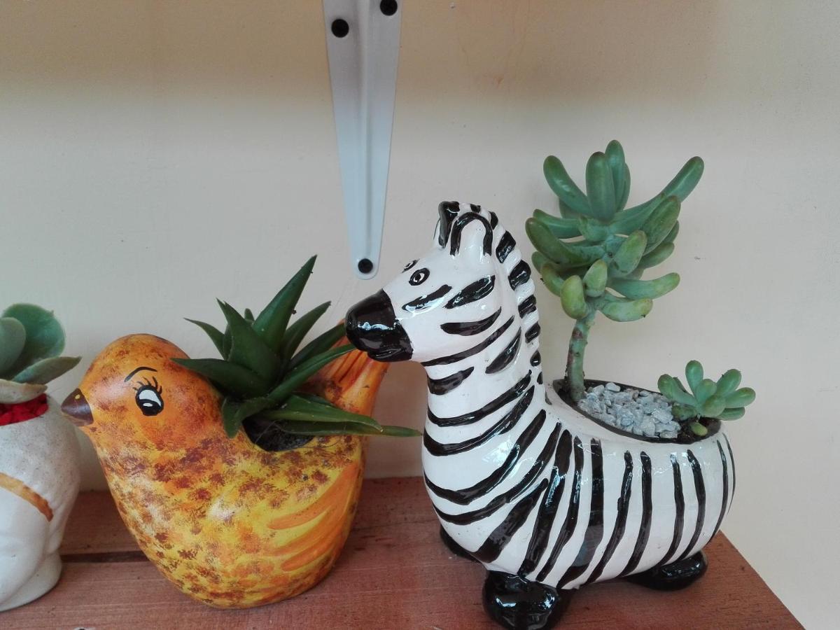 Mi Jardin Encantado 빌라 외부 사진