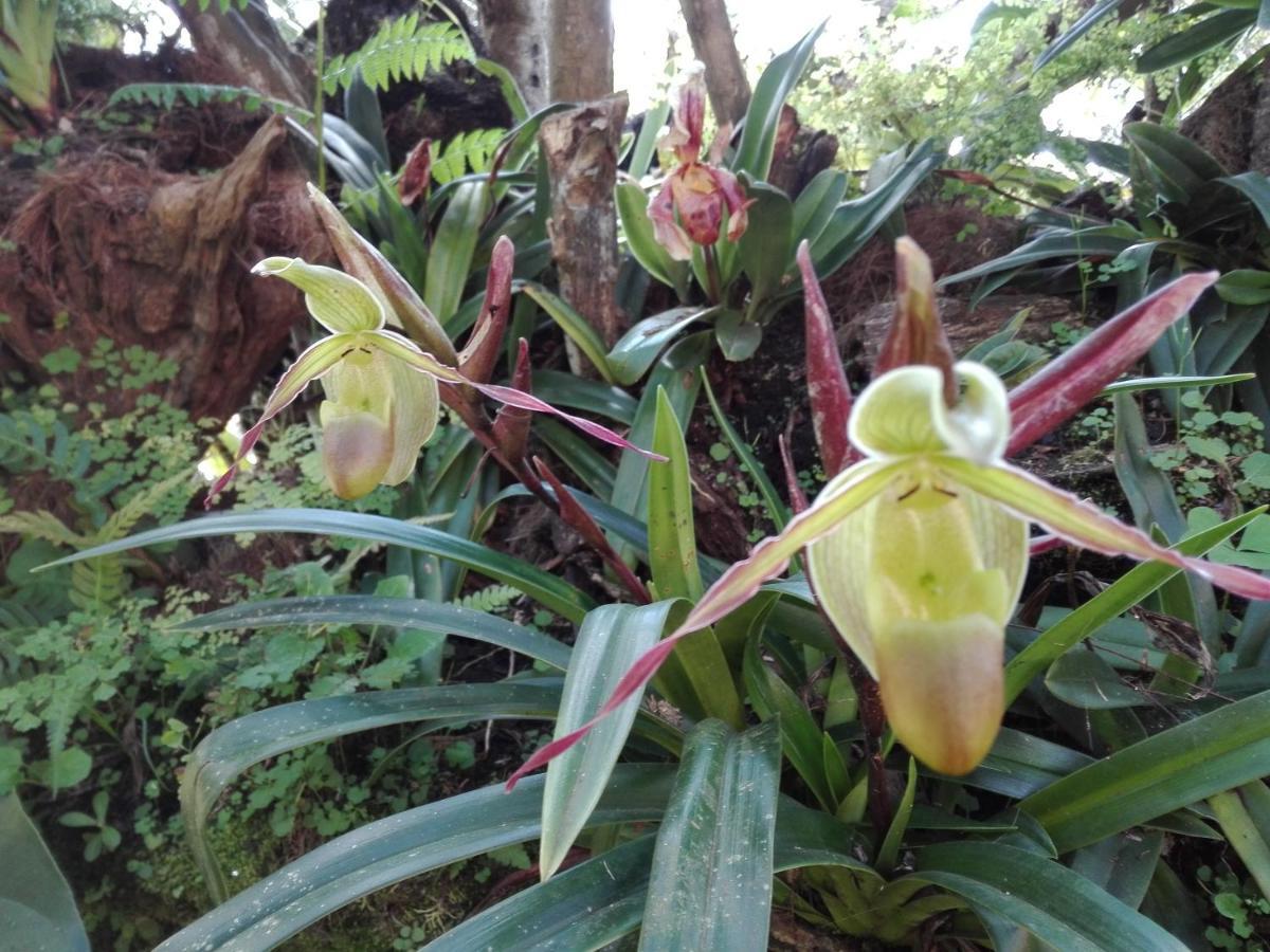 Mi Jardin Encantado 빌라 외부 사진